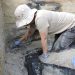 Arqueólogos hallan la estructura de madera más antigua que se conoce