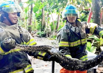 Colapso de puente en Ciudad Arce deja incomunicadas a 5,000 personas