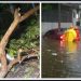 Tormenta del viernes provocó daños en viviendas y árboles caídos en nueve departamentos del país