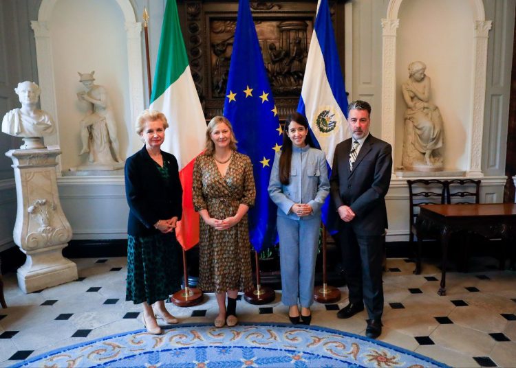 La vicecanciller 
viajó a Irlanda 
para reunirse con 
las autoridades 
extranjeras.