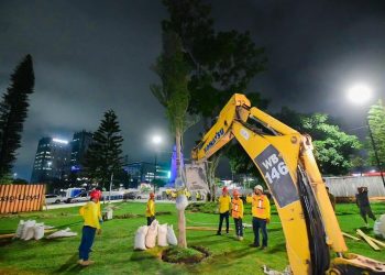 Obras Públicas inicia arborización en Plaza Salvador del Mundo