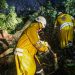 Autoridades atienden emergencias por caída de árboles tras torrenciales lluvias en El Salvador
