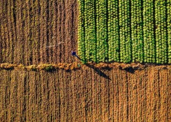 Nueva ley agropecuaria promoverá reserva nacional de alimentos