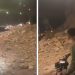 Potente sismo sacude el centro de Marruecos y deja casi 300 muertos