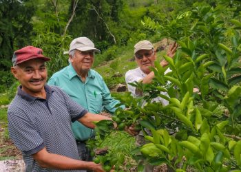 Miguel tiene una finca ordenada y diversificada por el apoyo del Centa