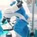 Científicos crean estructuras similares a embrión humano sin esperma ni óvulos