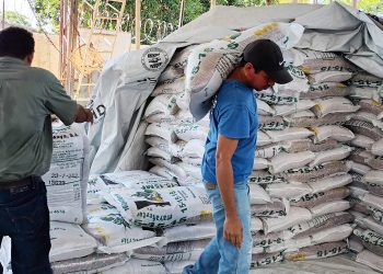Entregan paquetes agrícolas en La Unión