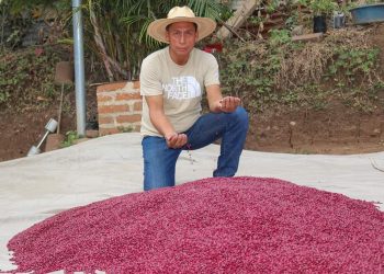 Desde hace 15 años aporta a la seguridad alimentaria
