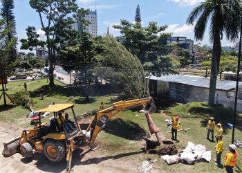 El paisaje de la Plaza Salvador del Mundo ahora será más verde