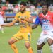 En la semana de su centenario, Firpo acordó un empate ante Limeño