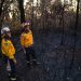 Incendios provocados por altas temperaturas en Australia obligan a evacuar pueblos