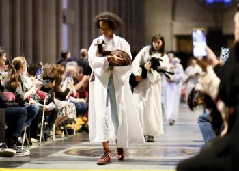 Centenares de mascotas, bendecidas en la catedral de Nueva York