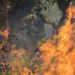 Miles de evacuados por un incendio en California