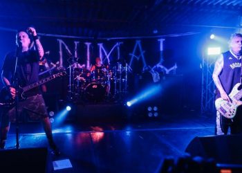 Un concierto íntimo con A.N.I.M.A.L en El Salvador