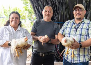 Verifican inversión de capital semilla dado a veteranos y excombatientes en San Vicente