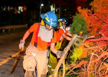 Protección Civil y Bomberos remueven varios árboles derribados por fuertes vientos