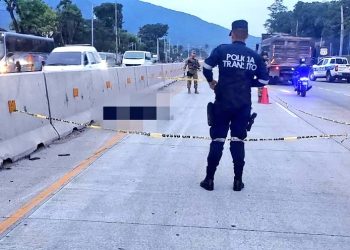 Hombre muere tras ser arrollado en carretera Panamericana