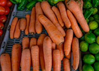 Transportistas guatemaltecos desechan verduras y frutas que vienen a El Salvador por bloqueo de calles