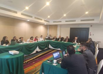 Lanzan convocatoria para conformar el Consejo de Educación Superior