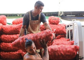 Autoridades realizan inspección de precios de frutas y verduras en mercado La Tiendona, San Salvador