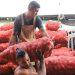 Autoridades realizan inspección de precios de frutas y verduras en mercado La Tiendona, San Salvador