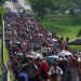 Más de un millar de migrantes arriban en tren a la frontera con EE. UU.