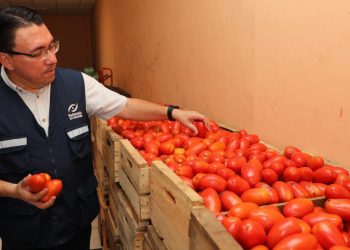 Precios de frutas y verduras reportan una baja, según Defensoría del Consumidor