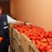 Precios de frutas y verduras reportan una baja, según Defensoría del Consumidor