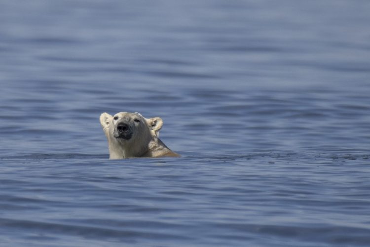 Foto / AFP