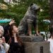 Tokio recuerda el centenario del fiel perro Hachiko