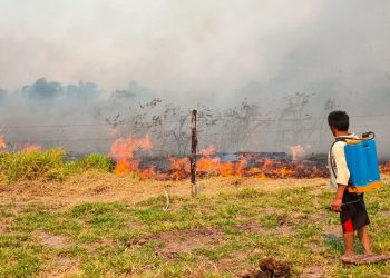 Trece personas fallecen en Bolivia en medio de temperaturas récords