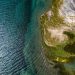 Clima extremo podría favorecer invasión de especies exóticas, según estudio