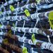 Elaboran en Argentina el salame más largo del mundo
