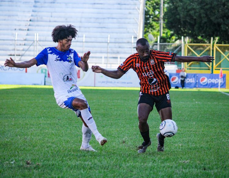 Foto Águila