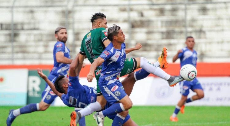Foto Dragón