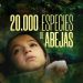 «20.000 especies de abejas» lidera nominaciones a los Premios Goya