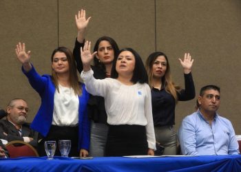 La diputada de VAMOS dice que desconfía del TSE