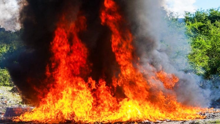 La droga fue incinerada en el predio Changallo. Foto FGR