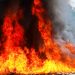 Destruyen en Ilopango droga valuada en más de $136,000