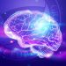 Procesos neurocientíficos mejoran la eficiencia empresarial