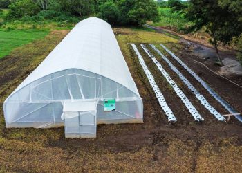 Casas malla del ISTA protegieron cultivos en la tormenta Pilar