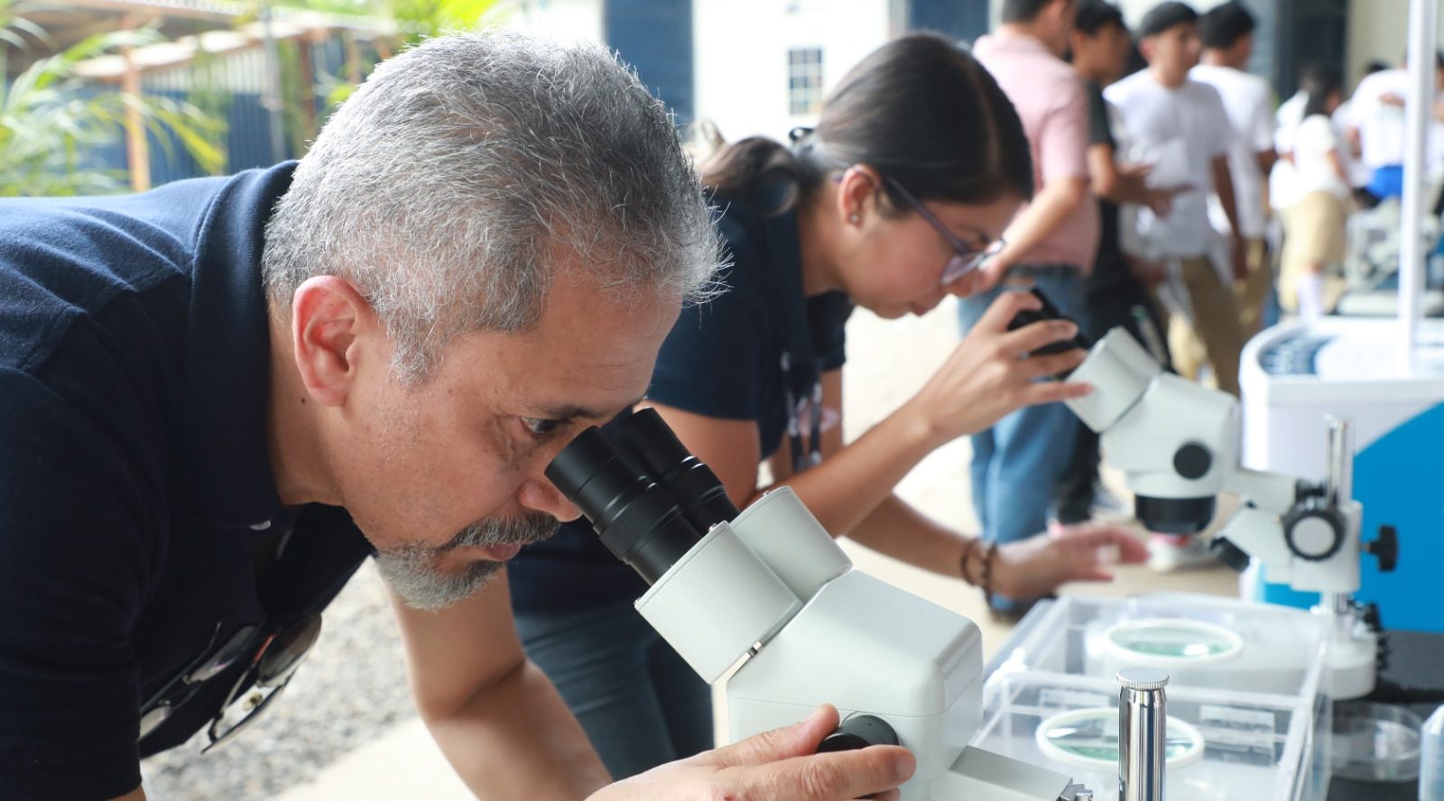 El Salvador combatirá el dengue con el innovador método Wolbachia – Diario El Salvador