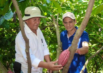 Productor de Jerusalén apuesta por el cultivo de cacao blanco de El Salvador