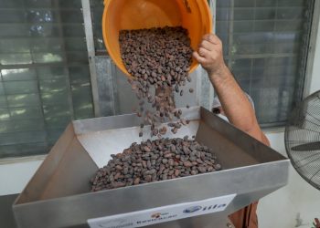 La planta tiene diversos servicios de procesamiento, entre ellos: tostado, nibs, manteca de cacao, cacao en polvo, chocolate conchado.