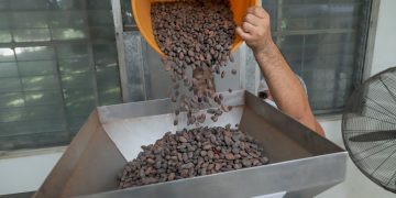 La planta tiene diversos servicios de procesamiento, entre ellos: tostado, nibs, manteca de cacao, cacao en polvo, chocolate conchado.