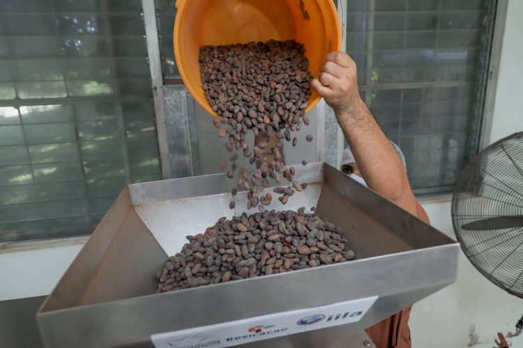 La planta tiene diversos servicios de procesamiento, entre ellos: tostado, nibs, manteca de cacao, cacao en polvo, chocolate conchado.