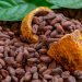 Calidad del cacao nacional impulsa las exportaciones del grano