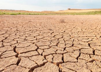 Más de 27 millones de niños pasaron hambre por sequía e inundaciones en 2022