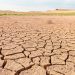 Más de 27 millones de niños pasaron hambre por sequía e inundaciones en 2022