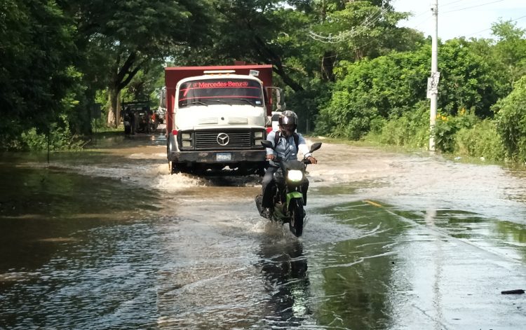 Foto/ Diario El Salvador